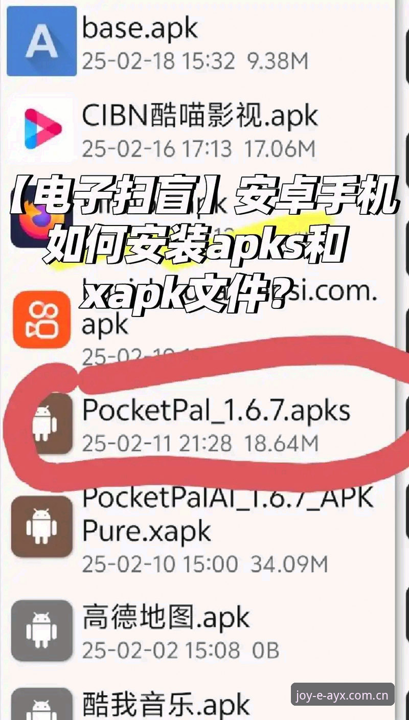 AYX怎么下载怎么下载 AYX怎么下载怎么下载 vs 第三方安装包:爱游戏体育平台新手避坑对比